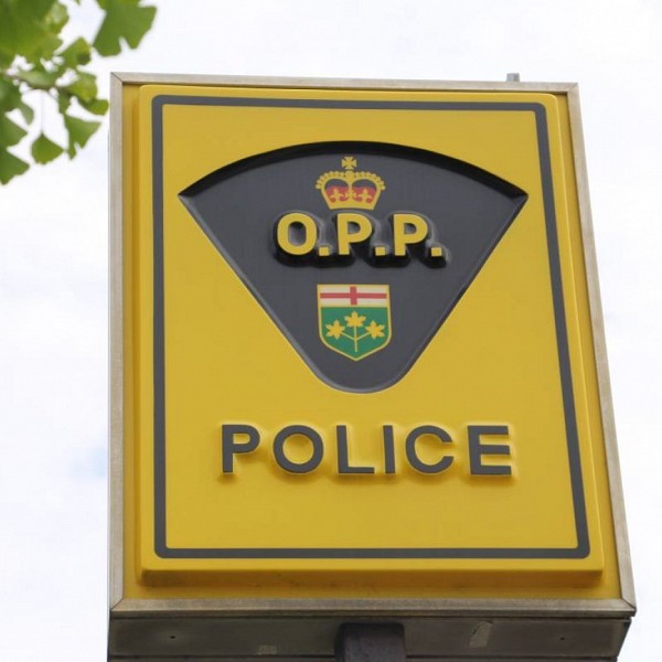 OPP investigate 6 domestics last week